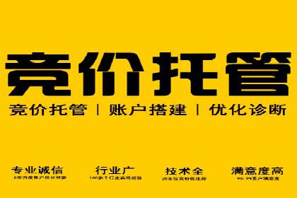 百度竞价托管公司成功案例：打造行业领先品牌